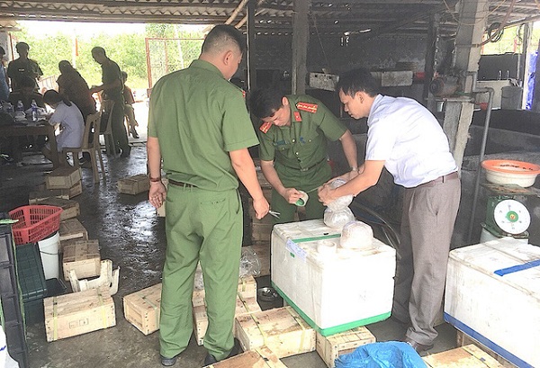 Hơn 3 tấn sứa biển ngâm hóa chất bị phát hiện tại Nghệ An
