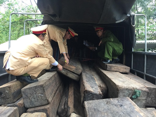 Thừa Thiên Huế: Bắt giữ xe tải vận chuyển lậu số lượng lớn gỗ Mun