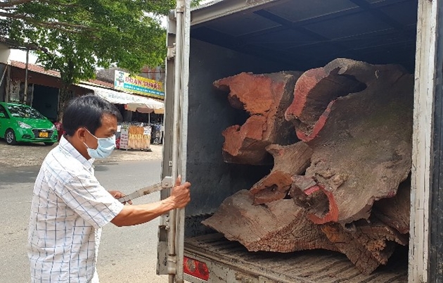 Bắt xe tải chở gần 1,4 tấn gỗ quý hiếm không rõ nguồn gốc