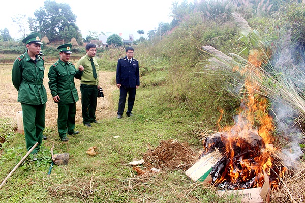 Quảng Ninh: Bắt giữ và tiêu hủy 150kg chả mực viên nhập lậu