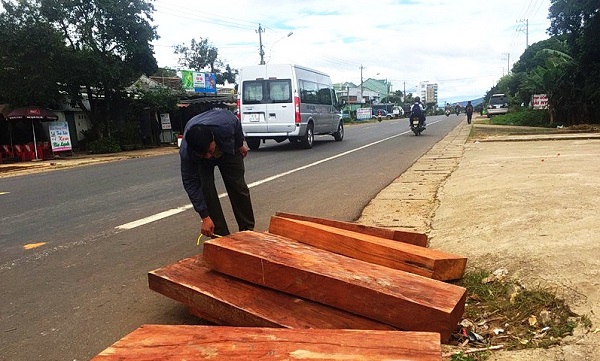 Gia Lai: Bỏ lại số gỗ lậu trên đường tẩu thoát