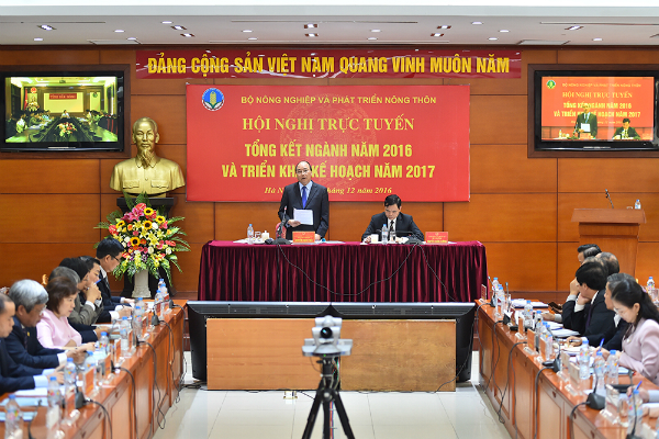 Thủ tướng: Không để thể chế trói buộc sự phát triển nông nghiệp