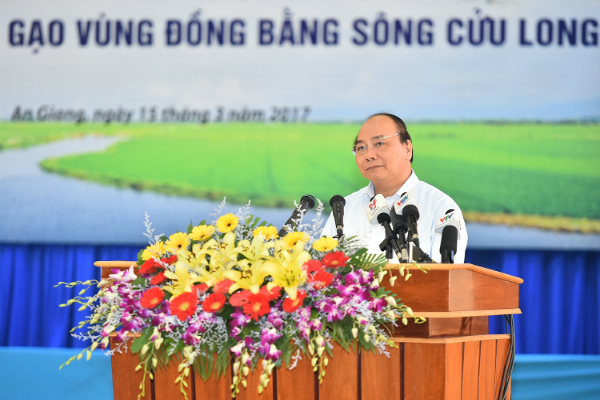 Thủ tướng: Cần một tầm nhìn mới cho hạt gạo