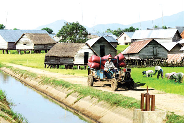 Phấn đấu 50% xã đạt chuẩn nông thôn mới đến 2020
