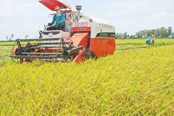 Lập Đề án 