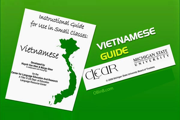 Tăng cường dạy tiếng Việt cho người Việt Nam ở nước ngoài   