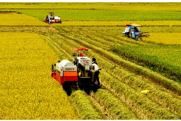 Đẩy nhanh tiến độ phát triển KTXH vùng Đồng bằng sông Cửu Long